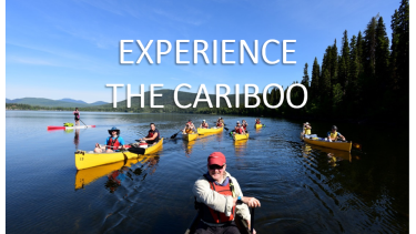 Experience the Cariboo
