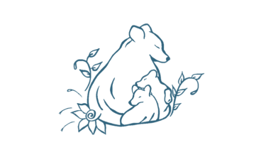 Bears